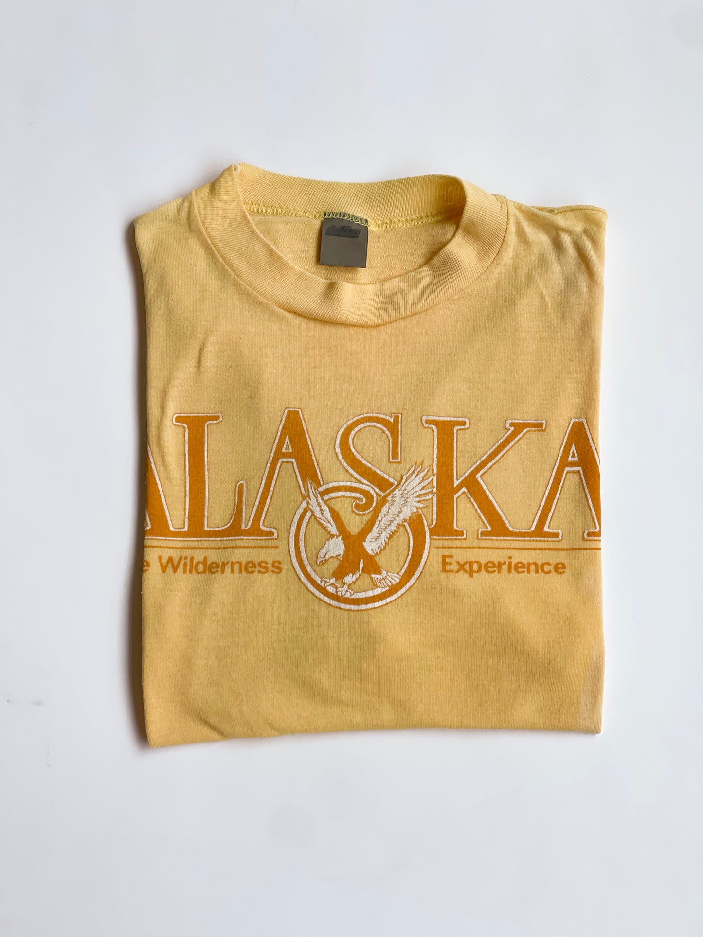 Vintage Alaska Tee