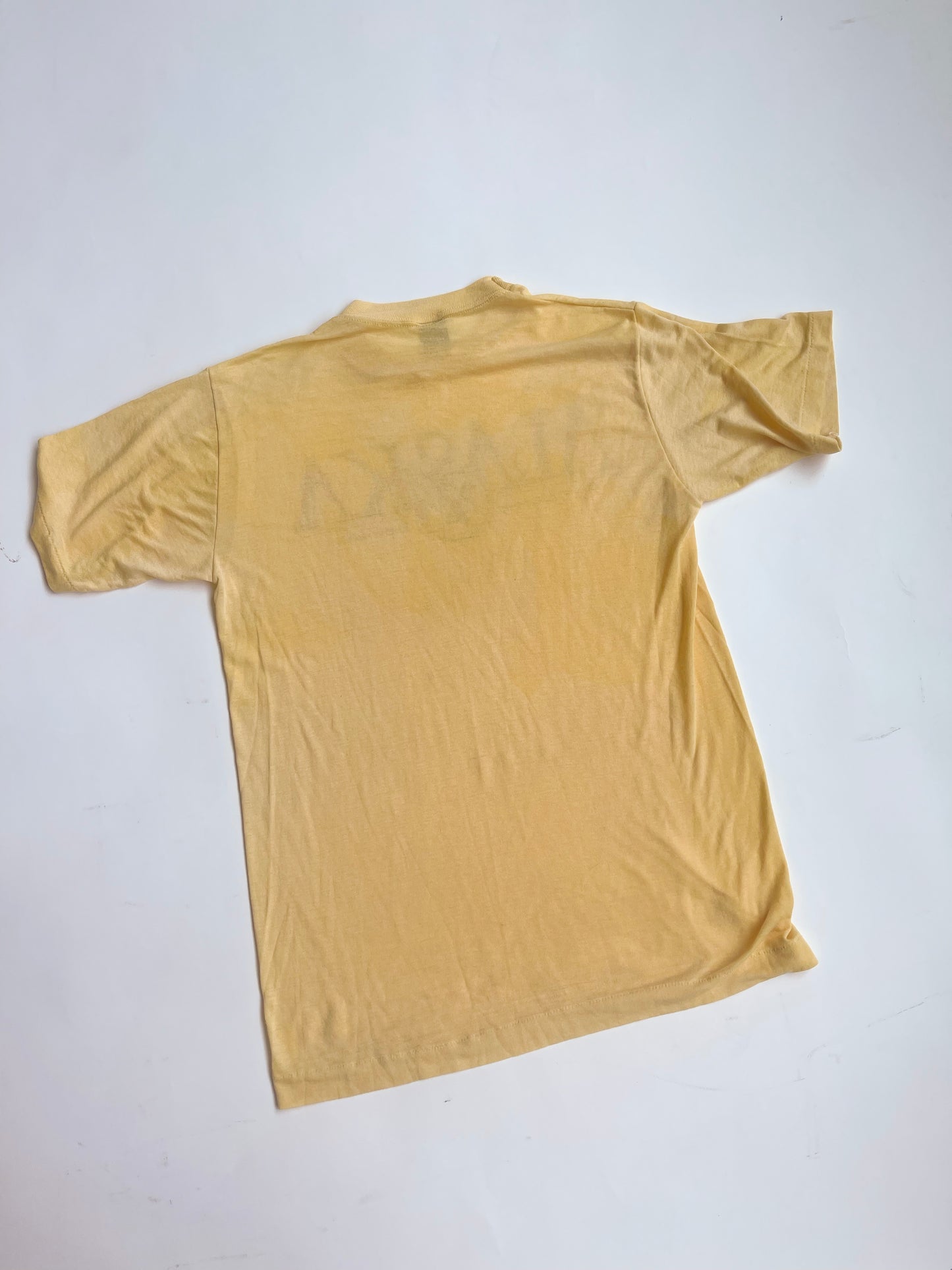Vintage Alaska Tee