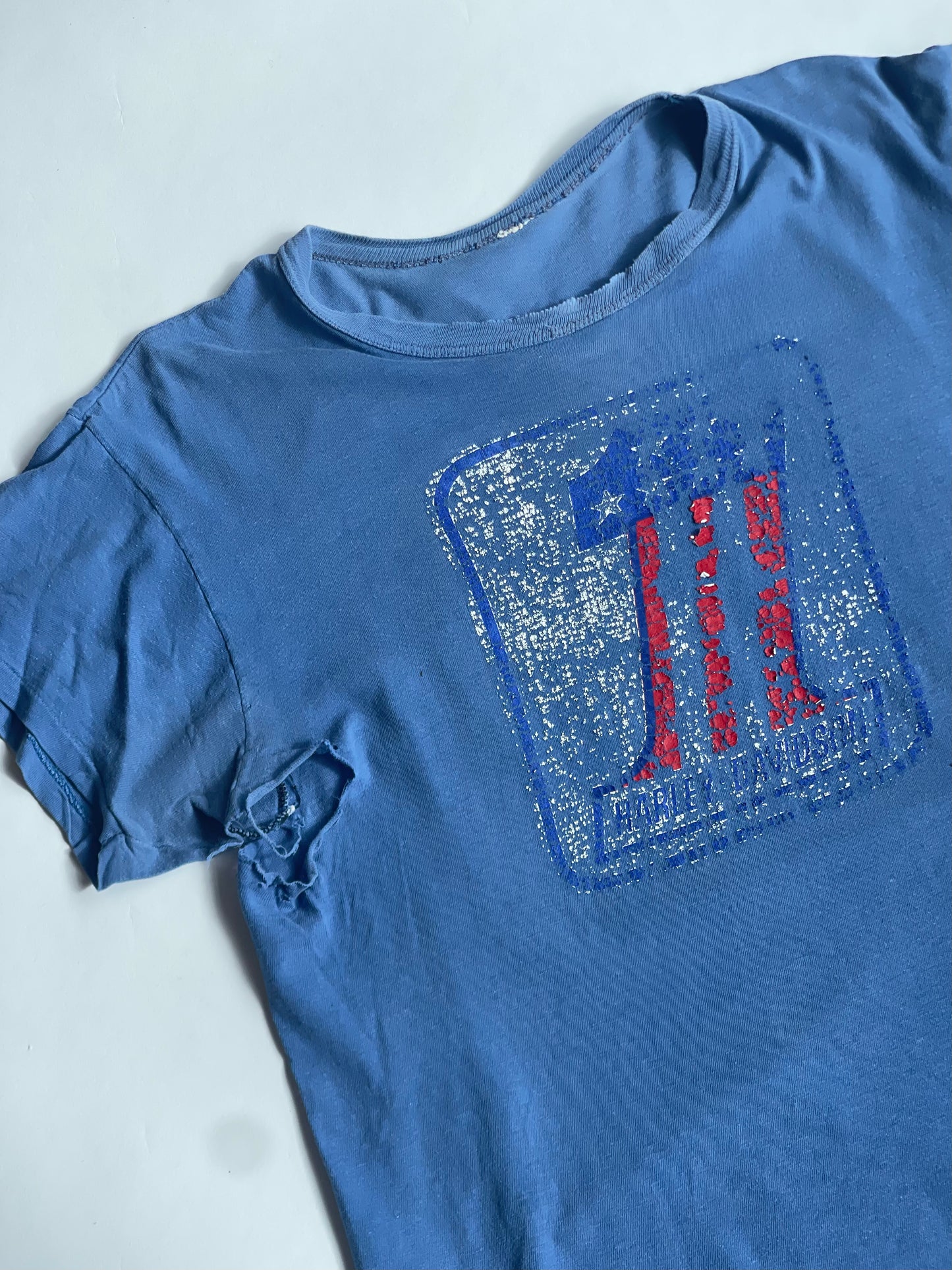 Vintage Thrashed Harley PBR Tee - M