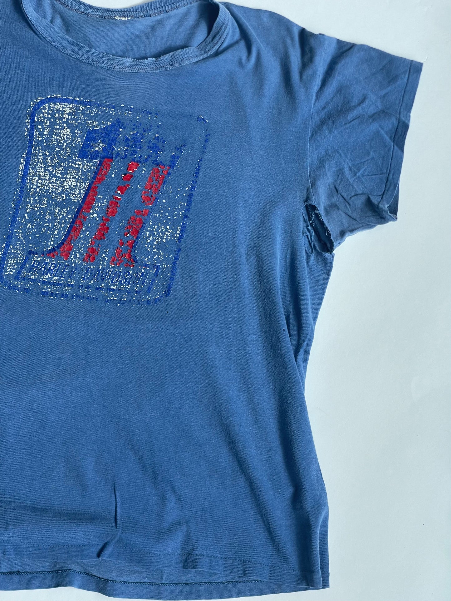 Vintage Thrashed Harley PBR Tee - M