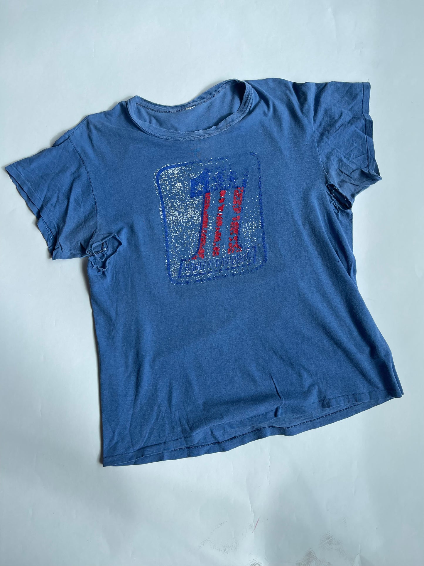 Vintage Thrashed Harley PBR Tee - M