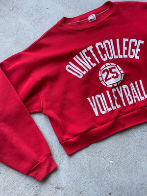 Vintage REWORKED 70s Olivet College Volleyball Crop Sweatshirt - M/L