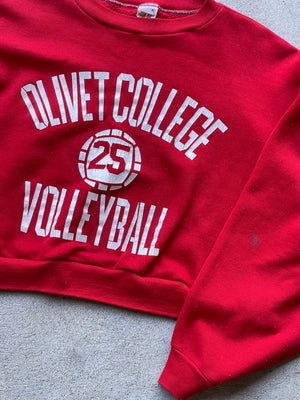 Vintage REWORKED 70s Olivet College Volleyball Crop Sweatshirt - M/L